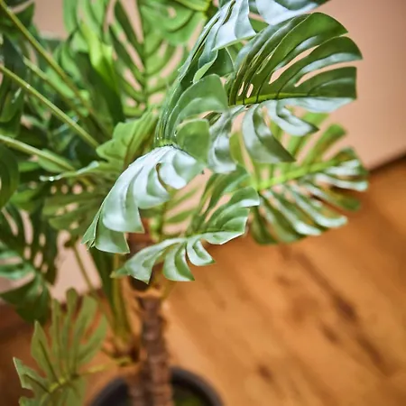 Appartement Eastside 8 *