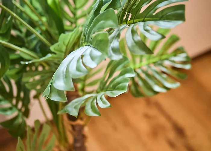 Apartmán Eastside 8 *